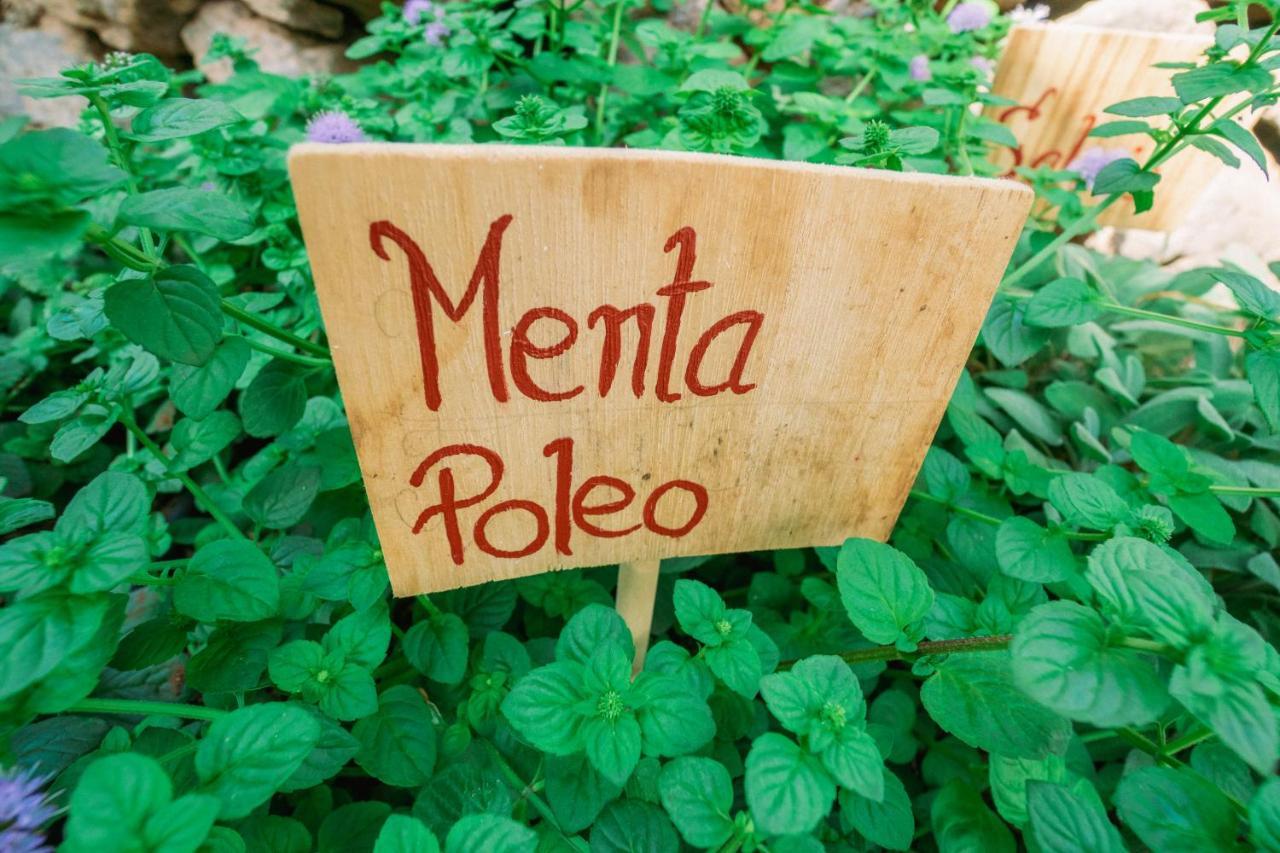 ロス・シロス Casa Emblematica Maruca Y Leliヴィラ エクステリア 写真